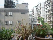 东方新苑 3室2厅 南