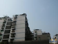 南坪万达商圈旁 正规四房,户型方正,出行方便