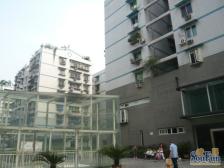 东方新苑 3室2厅 南