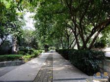 精装修 业主安心卖 看房方便