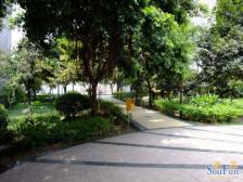 海峡路轻轨旁精装三房业主诚心出售随时看房单价7千多