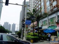 城市江山 2室2厅 南 北