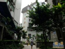 南坪商圈,单价五千,业主安心出售的