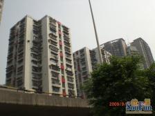 城南花园 3室1厅 北