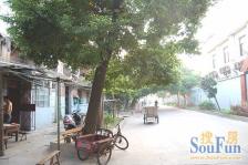 上海路639号橡胶厂宿舍 南北通透,采光好 近地铁 视野好,诚心出售