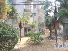 新世纪 户型方正 南北通透 得房率高