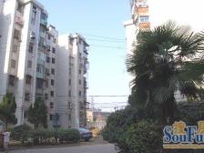 新世纪小区东航宿舍 南北通透,采光好 装修好,环镜优美 近地铁 视野好,诚心出售