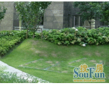 淮海路衡复风貌区公房中的天花板+双南两房双一队采光