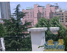 背靠淮海中路新公房两房,前后双阳台,双南户型无遮挡