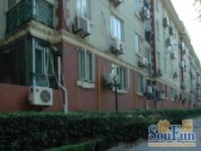 背靠淮海中路新公房两房,前后双阳台,双南户型无遮挡