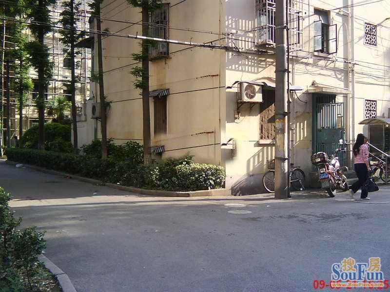 实景图