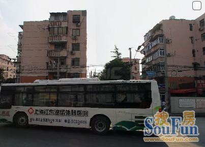 实景图