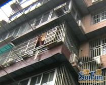 和平公园旁,双南户型,楼层采光好,一梯两户,近地铁