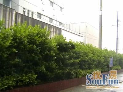 四联大厦实景图