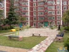 松江新城+天乐新上房源+中间楼层+临别墅区+满五年