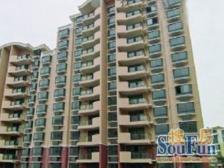 带产权车位,精装 电梯房 产权清晰 店长力推