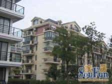 一楼+大院子+品质小区+近菜场+三甲医院+近嘉闵线