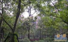 派克公馆 4室2厅 南