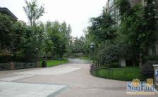 派克公馆 3室1厅 南 北