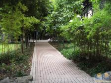 观音桥 邦兴渝珠花苑四房157万