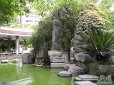 捡漏捡漏 业主亏本急售 电梯三房拎包入住 租金高