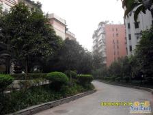 万达,协信城旁,南坪商圈,万寿华庭三房