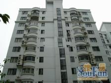 内环内景观无遮挡 轨交房 新上房源 铂金地段