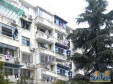 商圈主推:送25平露台养花养鸟,朝南两房采光冲足,诚心出售