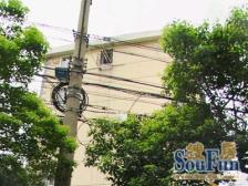 洋泾·阳光三村·2室·1厅