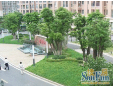 主卧朝南,环境优美,居家装修,诚意出售