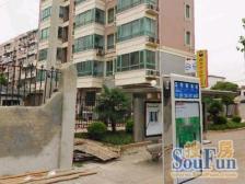 椰泰公寓 3室1厅 南