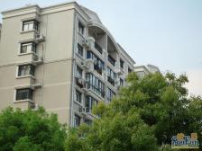 裕兴花园 3室2厅 南