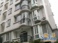 楼层好 视野开阔 采光充足 房型方正 商品房