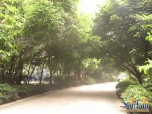 文庙前街67号1室1厅南北