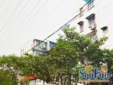 品质小区,环境优美,诚意出售,精装好房