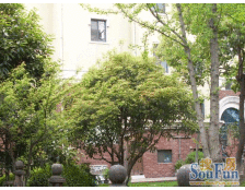 随时看房,无抵押,产权清晰 新上房源