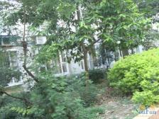 华菲苑 3室2厅 南 北