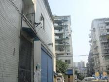 回兴大转盘 顶楼跃层 使用面积220 急售