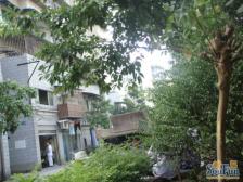 回兴 宝桐花园三房