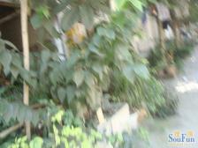 低总价买3房 价格实惠 看房方便诚心出售