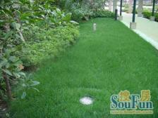 大开间,交通便利,小区中心位置,居家装修,精装好房