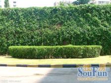 天山路商圈,地铁双轨交汇,高区电梯房,采光无遮挡。