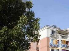 一梯四户,主卧朝南,交通便利,简欧轻奢,刚需好房