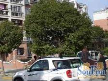 《一梯两户》《近地铁》《采光嘎嘎好》