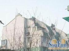 新洲豪园 4房电梯户型 随时看房 商品房税费各付