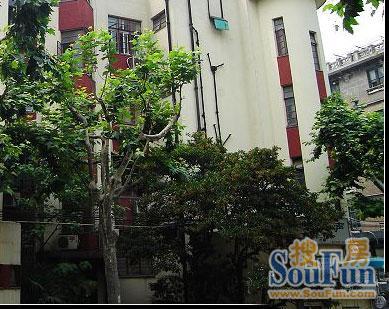 伊丽莎白老公寓实景图