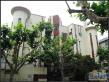 伊丽莎白老公寓实景图