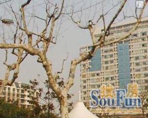 月厦新天地1室1厅东