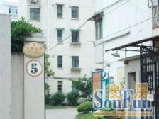 政通路250弄 2室1厅 南 北