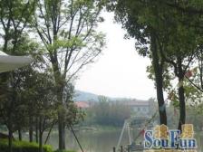 紫都上海晶园 4室2厅 南